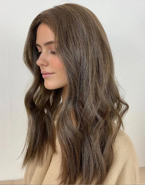 Maly- Fashionable Brown Color Natural Wavy 13x6 Lace Front Wig For Women Human Hair Glueless Wig